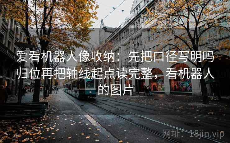 爱看机器人像收纳：先把口径写明吗归位再把轴线起点读完整，看机器人的图片