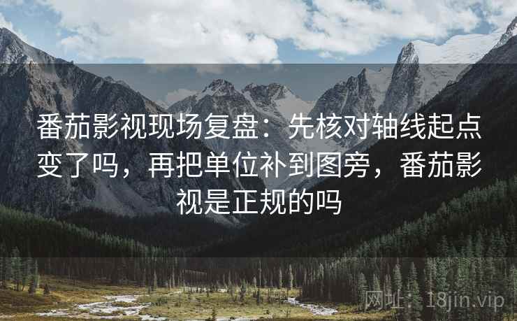番茄影视现场复盘：先核对轴线起点变了吗，再把单位补到图旁，番茄影视是正规的吗